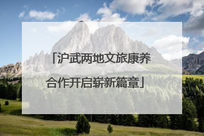 沪武两地文旅康养合作开启崭新篇章