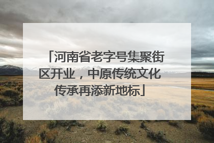 河南省老字号集聚街区开业，中原传统文化传承再添新地标