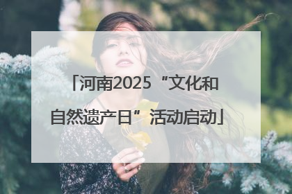 河南2025“文化和自然遗产日”活动启动