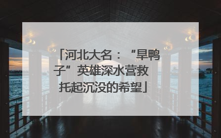 河北大名：“旱鸭子”英雄深水营救 托起沉没的希望
