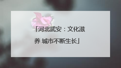 河北武安：文化滋养 城市不断生长