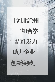 河北沧州：“组合拳”精准发力 助力企业创新突破