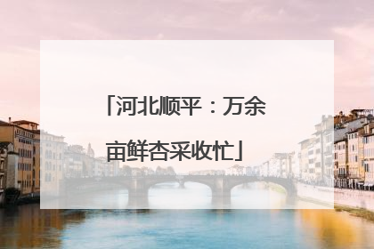 河北顺平：万余亩鲜杏采收忙