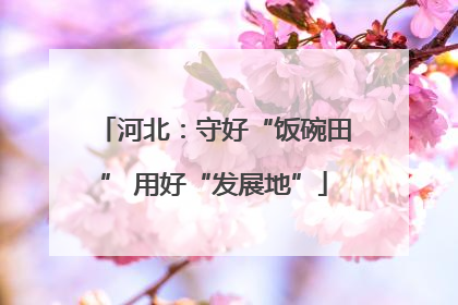 河北：守好“饭碗田” 用好“发展地”