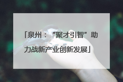 泉州：“聚才引智”助力战新产业创新发展