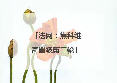 法网：焦科维奇晋级第二轮