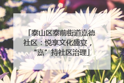 泰山区泰前街道嘉德社区：悦享文化盛宴，“嘉”持社区治理