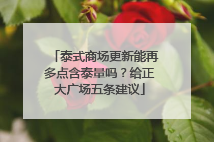 泰式商场更新能再多点含泰量吗？给正大广场五条建议