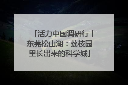 活力中国调研行丨东莞松山湖：荔枝园里长出来的科学城