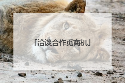 洽谈合作觅商机