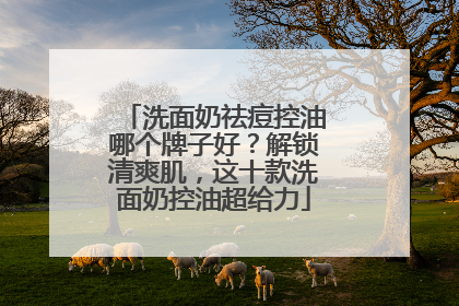 洗面奶祛痘控油哪个牌子好？解锁清爽肌，这十款洗面奶控油超给力