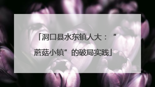 洞口县水东镇人大：“蘑菇小镇”的破局实践