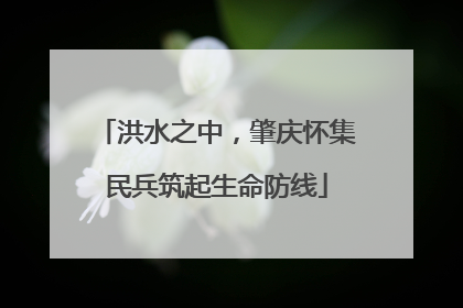 洪水之中，肇庆怀集民兵筑起生命防线