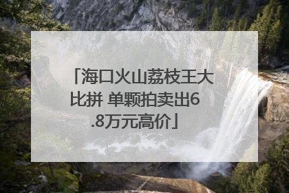 海口火山荔枝王大比拼 单颗拍卖出6.8万元高价