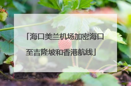 海口美兰机场加密海口至吉隆坡和香港航线