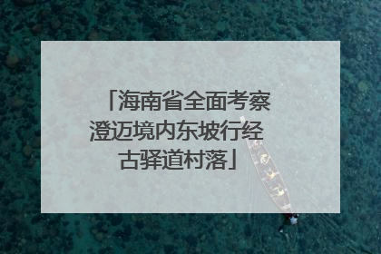 海南省全面考察澄迈境内东坡行经古驿道村落