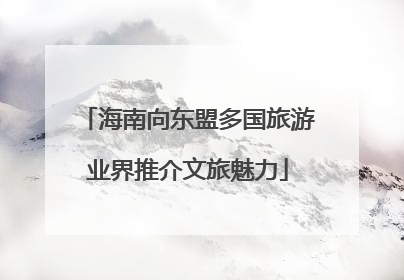 海南向东盟多国旅游业界推介文旅魅力