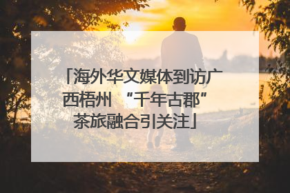 海外华文媒体到访广西梧州 “千年古郡”茶旅融合引关注