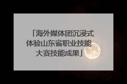 海外媒体团沉浸式体验山东省职业技能大赛技能成果