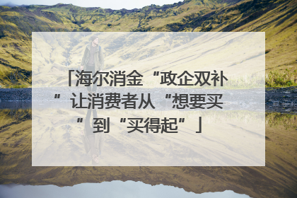 海尔消金“政企双补”让消费者从“想要买”到“买得起”