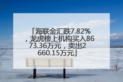 海联金汇跌7.82%，龙虎榜上机构买入8673.36万元，卖出2660.15万元