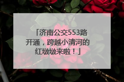 济南公交553路开通，跨越小清河的红墩墩来啦！