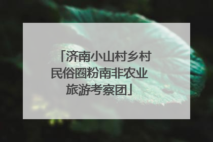 济南小山村乡村民俗圈粉南非农业旅游考察团