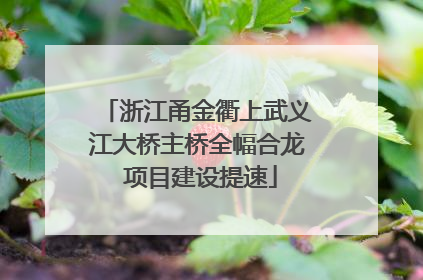 浙江甬金衢上武义江大桥主桥全幅合龙 项目建设提速