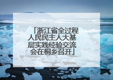 浙江省全过程人民民主人大基层实践经验交流会在桐乡召开