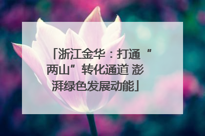 浙江金华：打通“两山”转化通道 澎湃绿色发展动能