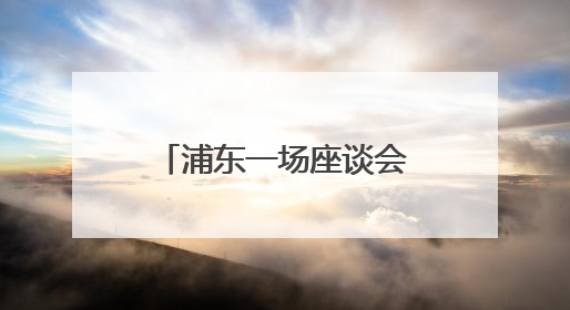 浦东一场座谈会引来众多新加坡企业，新的合作可能也由此开启