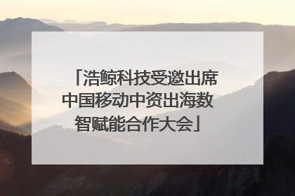 浩鲸科技受邀出席中国移动中资出海数智赋能合作大会