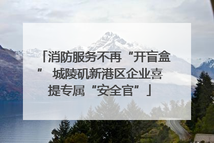 消防服务不再“开盲盒” 城陵矶新港区企业喜提专属“安全官”
