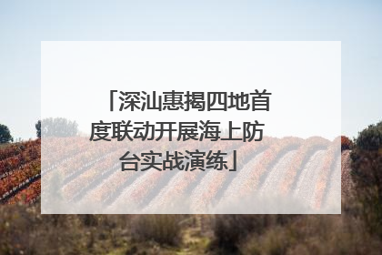 深汕惠揭四地首度联动开展海上防台实战演练
