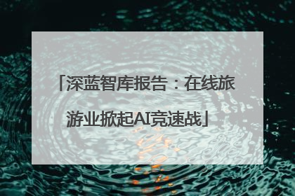 深蓝智库报告：在线旅游业掀起AI竞速战