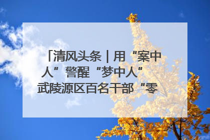 清风头条｜用“案中人”警醒“梦中人” 武陵源区百名干部“零距离”接受警示教育