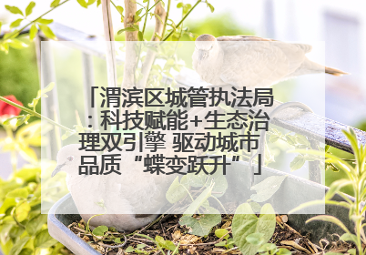 渭滨区城管执法局：科技赋能+生态治理双引擎 驱动城市品质“蝶变跃升”