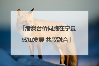 港澳台侨同胞在宁夏感知发展 共叙融合
