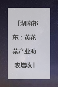 湖南祁东：黄花菜产业助农增收