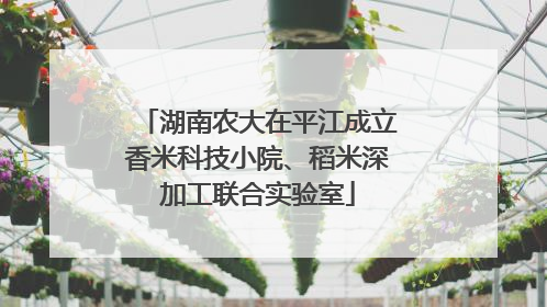 湖南农大在平江成立香米科技小院、稻米深加工联合实验室