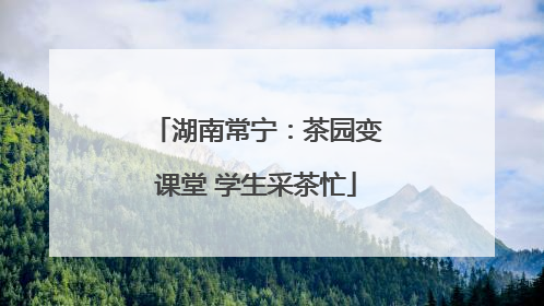 湖南常宁：茶园变课堂 学生采茶忙