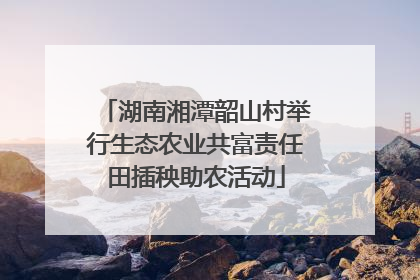 湖南湘潭韶山村举行生态农业共富责任田插秧助农活动
