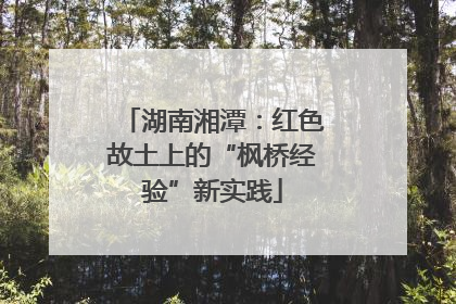 湖南湘潭：红色故土上的“枫桥经验”新实践