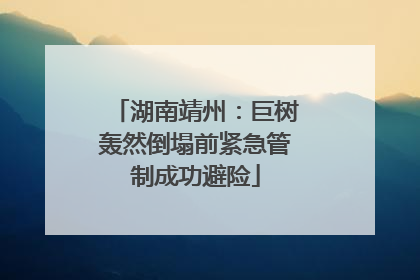 湖南靖州：巨树轰然倒塌前紧急管制成功避险