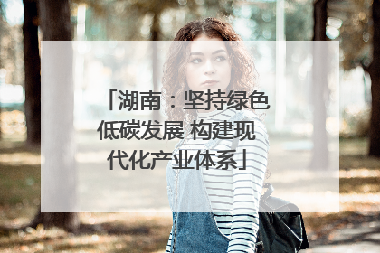 湖南：坚持绿色低碳发展 构建现代化产业体系