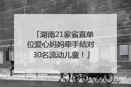 湖南21家省直单位爱心妈妈牵手结对30名流动儿童！