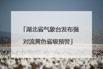 湖北省气象台发布强对流黄色省级预警