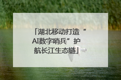 湖北移动打造“AI数字哨兵”护航长江生态链
