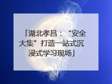 湖北孝昌：“安全大集”打造一站式沉浸式学习现场