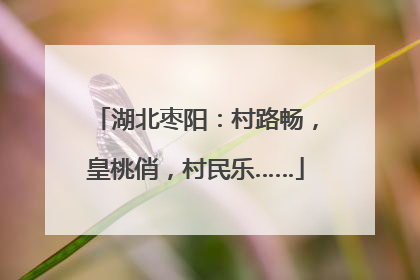 湖北枣阳：村路畅，皇桃俏，村民乐……